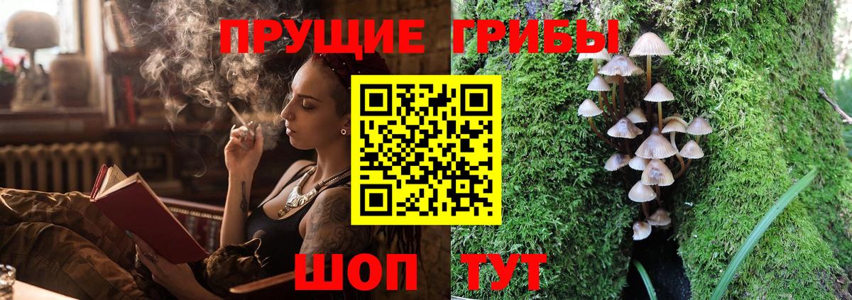 Вольск  Псилоцибиновые грибы Psilocybe  Псилоцибиновые грибы Psilocybine cubensis  Вход с VPN 